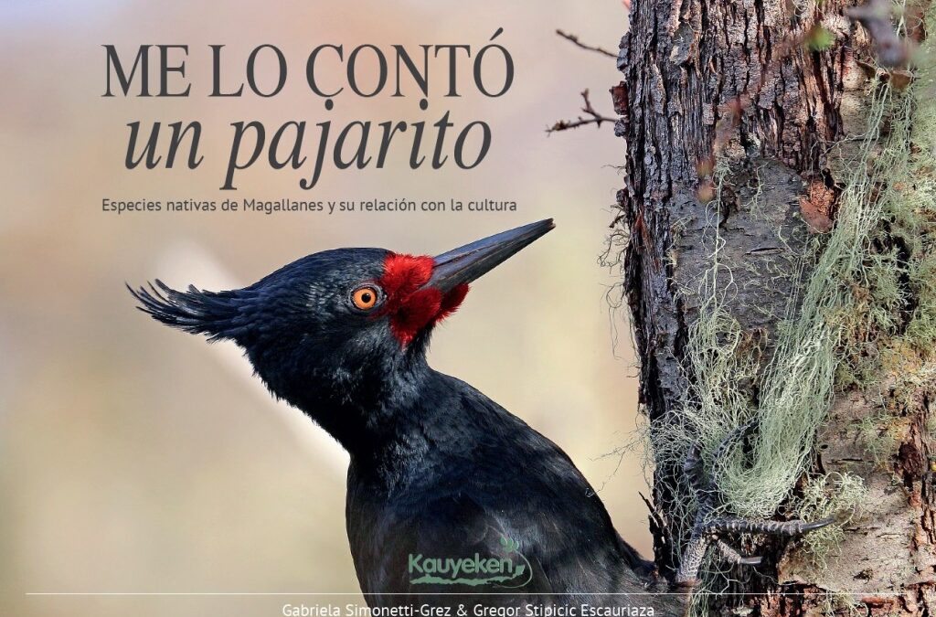 A LITTLE BIRD TOLD ME. NATIVE SPECIES OF MAGALLANES AND THEIR RELATIONSHIP WITH CULTURE