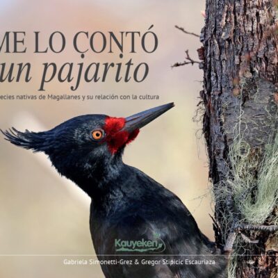 A LITTLE BIRD TOLD ME. NATIVE SPECIES OF MAGALLANES AND THEIR RELATIONSHIP WITH CULTURE